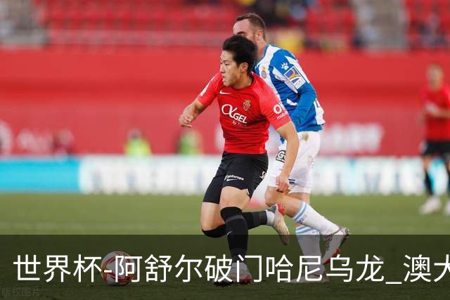 世界杯-阿舒尔破门哈尼乌龙 澳大利亚1-1埃及进加时